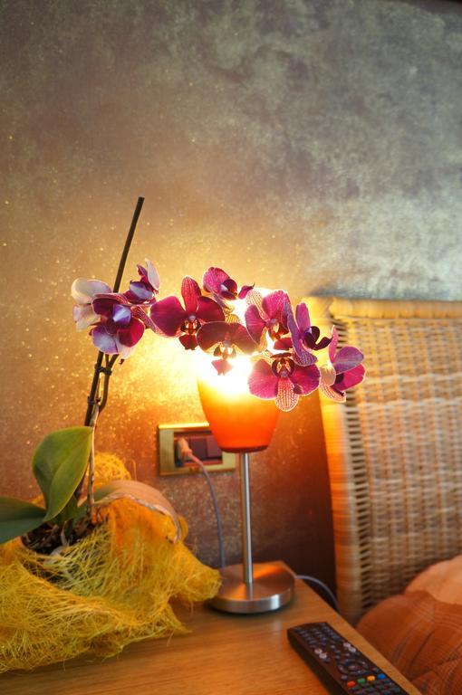 B&B Stephany Тирано Екстериор снимка